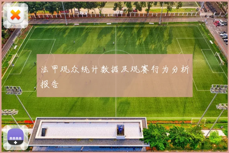 法甲观众统计数据及观赛行为分析报告