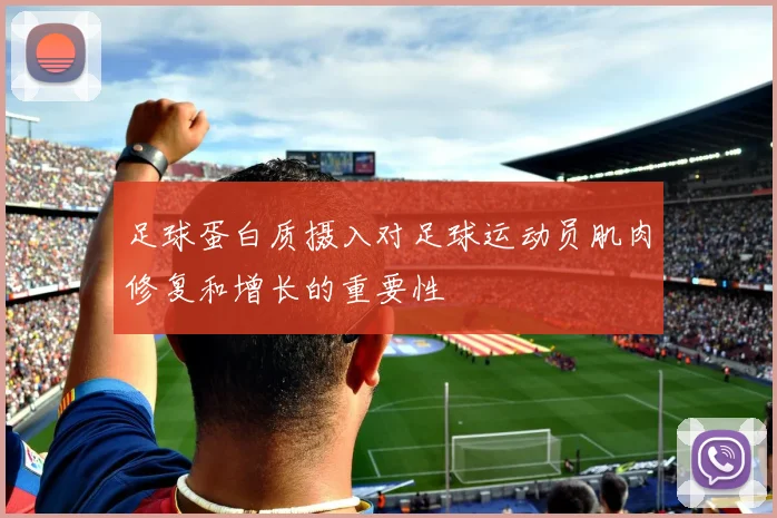 足球蛋白质摄入对足球运动员肌肉修复和增长的重要性