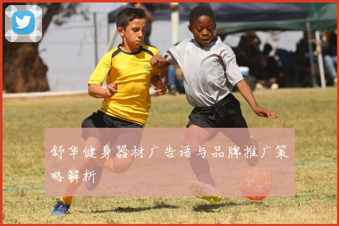 舒华健身器材广告语与品牌推广策略解析