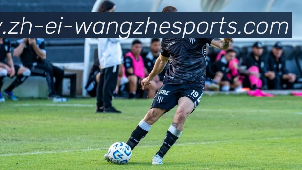 王者体育发展历程